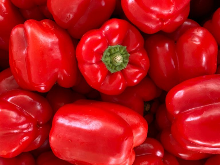 angelique-AXyvGt8UH14-unsplash