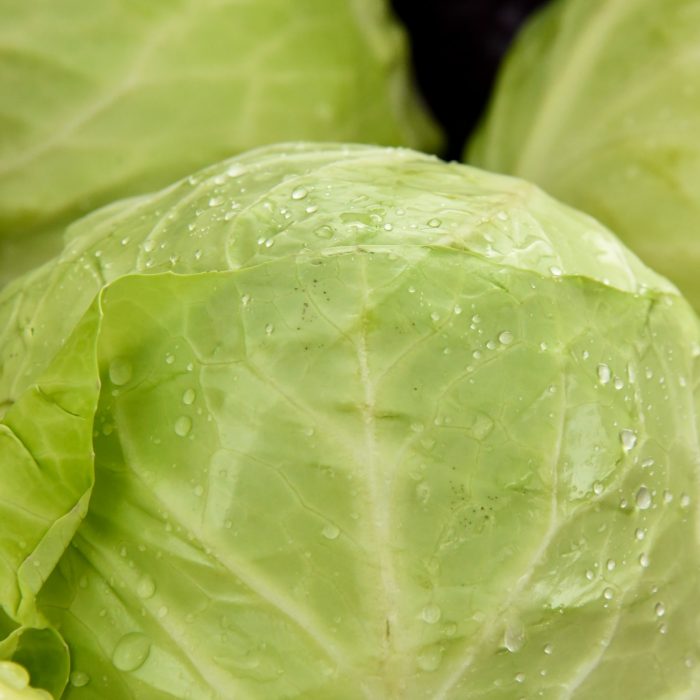 shelley-pauls-tNZE5-BCgCs-unsplash